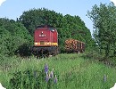 [EBM 202 487 auf der Anschlußbahn...]